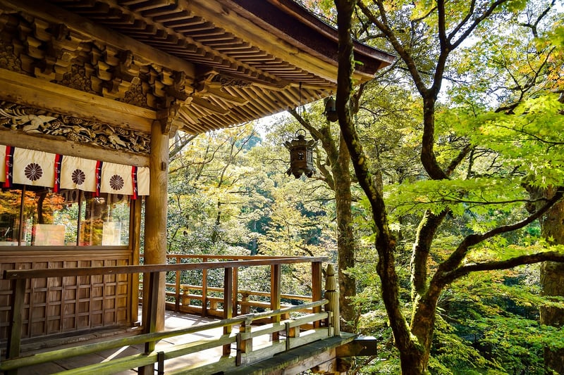Turkish-Japanese Blend